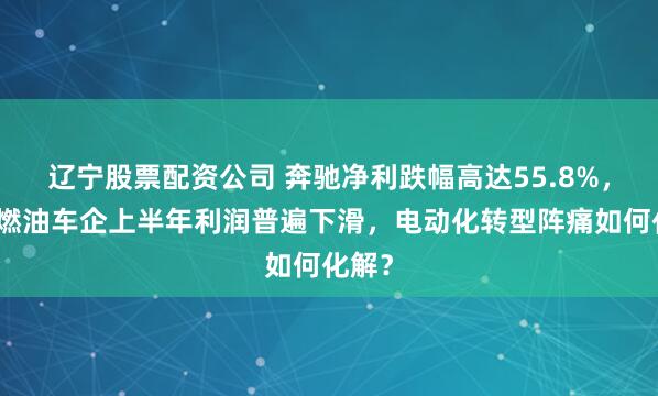 辽宁股票配资公司 奔驰净利跌幅高达55.8%，老牌燃油车企上半年利润普遍下滑，电动化转型阵痛如何化解？