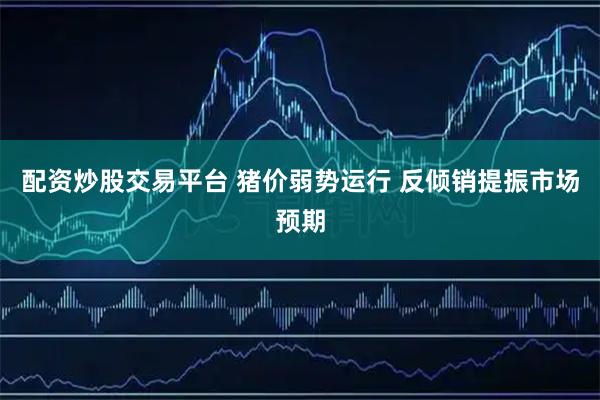 配资炒股交易平台 猪价弱势运行 反倾销提振市场预期