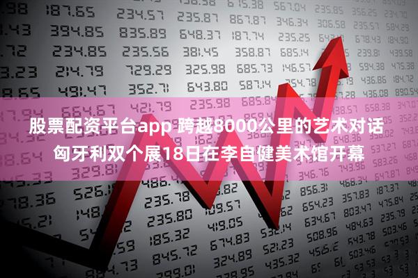 股票配资平台app 跨越8000公里的艺术对话 匈牙利双个展18日在李自健美术馆开幕