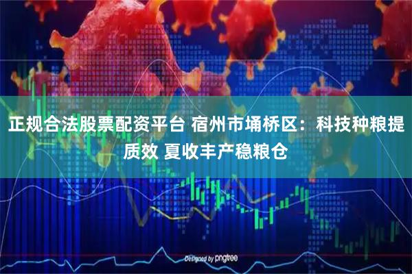 正规合法股票配资平台 宿州市埇桥区：科技种粮提质效 夏收丰产稳粮仓